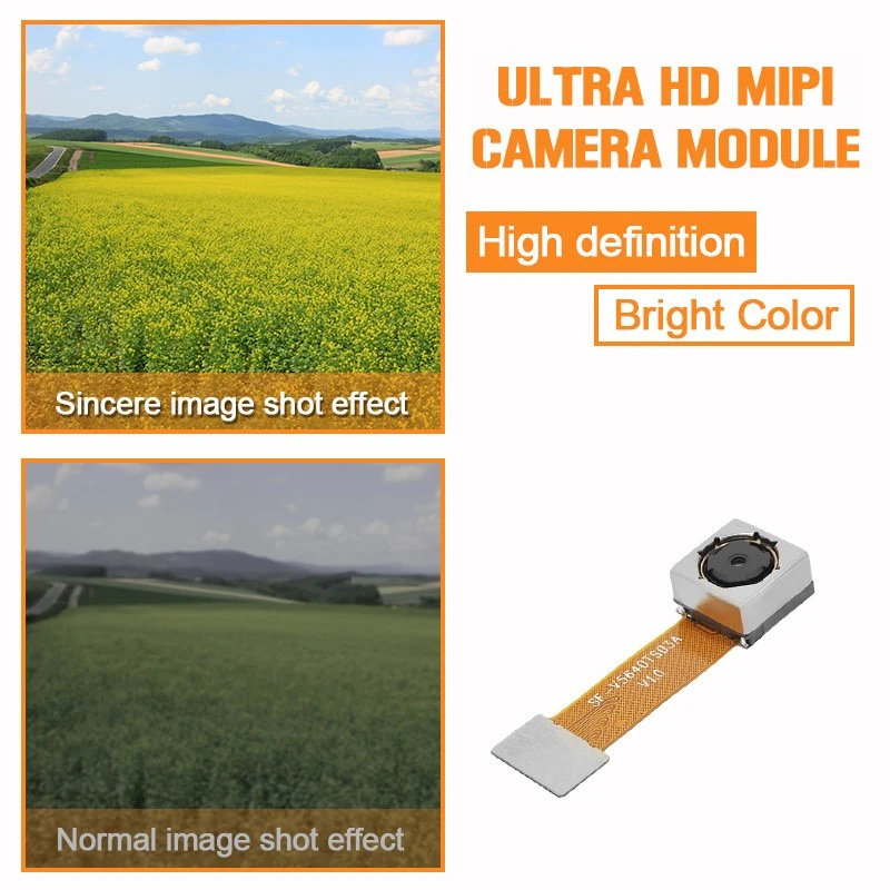 product-800-800 product-800-800
